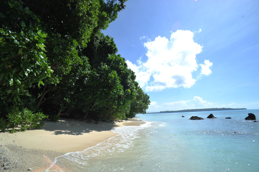 a beach at Hidden Cove Eco Retreat